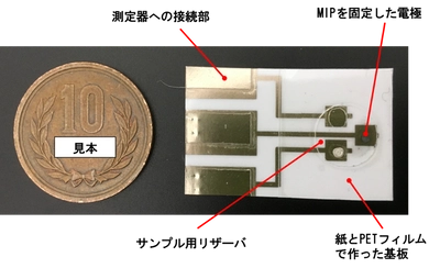 ハイリスク薬の血中濃度をリアルタイムに検出する 使い捨てセンサチップを開発