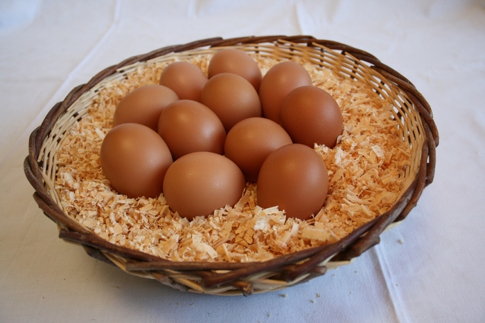 岡崎おうはんの卵