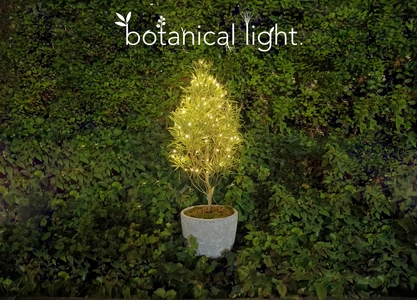 植物の力で発電！環境配慮型のエネルギー『botanical light』を 都内の商業施設に設置し2022年2月まで実証実験を実施