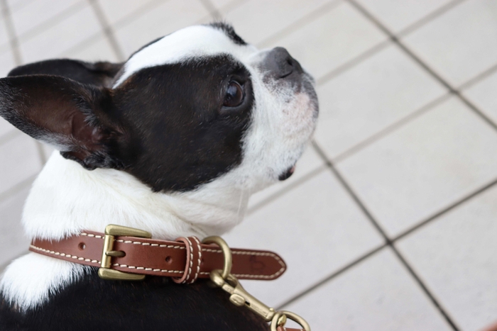 有限会社マルヨシ