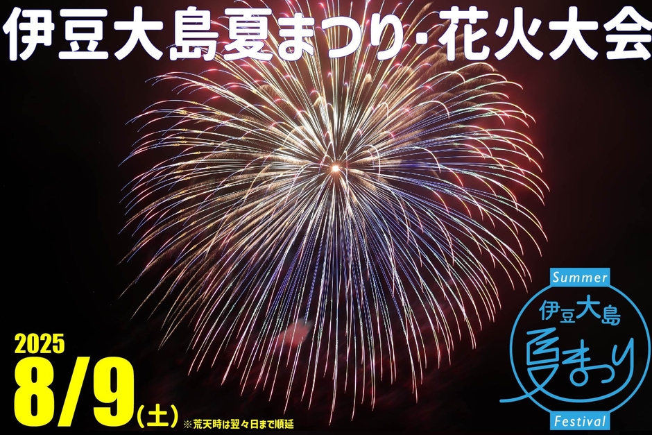 夜空に大きく広がる花火
