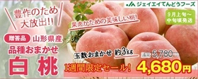 山形県産白桃が１週間限定セール！ 旬のみずみずしくて甘い「白桃」を JAタウンのショップ「ジェイエイてんどうフーズ」で販売中 ～果肉かための桃がお好きな方におおススメ！～