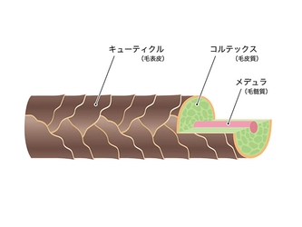 改善！ダメージヘア。艶髪を手に入れるためには？