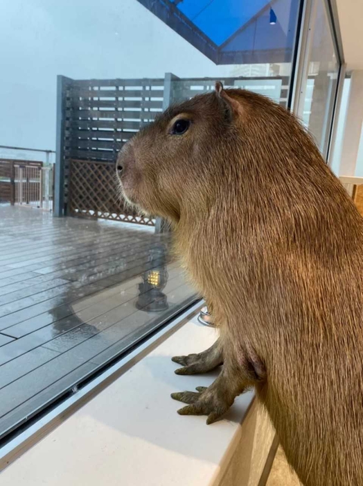 雨の日は…。