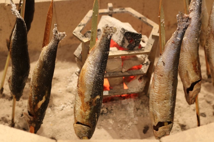 囲炉裏焼き「大トロイワシ」