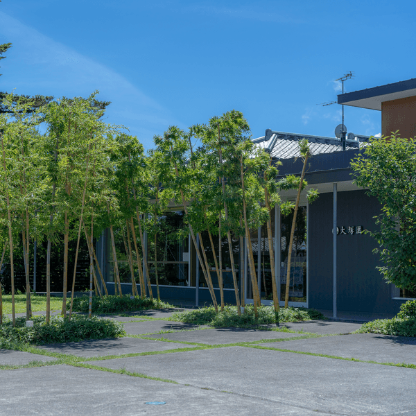 緑と調和する直営店の外観