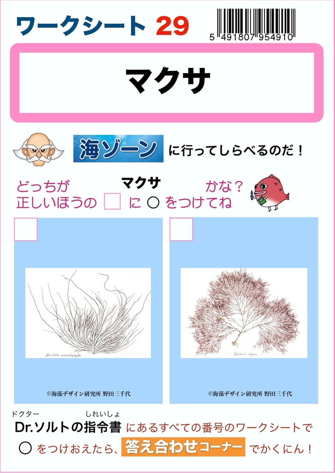 Photo_07 「ワークシート」例)マクサ ※ワークシートに載っている海の中での姿(生き物としての姿)のどちらが正解か、標本・模型で調べて回答します。