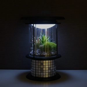 日常も観賞用として楽しめるソーラーLEDランタン 「おうちランタン テラリウムグリーン」発売！
