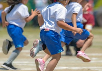 新日本法規ＷＥＢサイトに法令記事「学校におけるスポーツ事故の調査」を公開