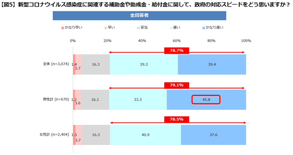 【図５】政府の対応