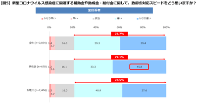 【図５】政府の対応
