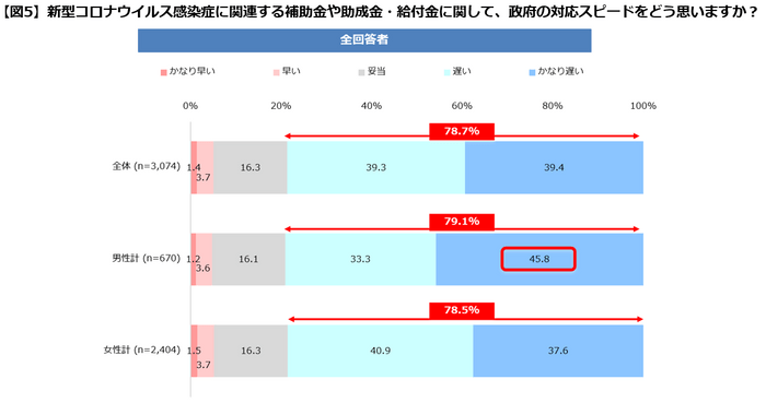 【図５】政府の対応