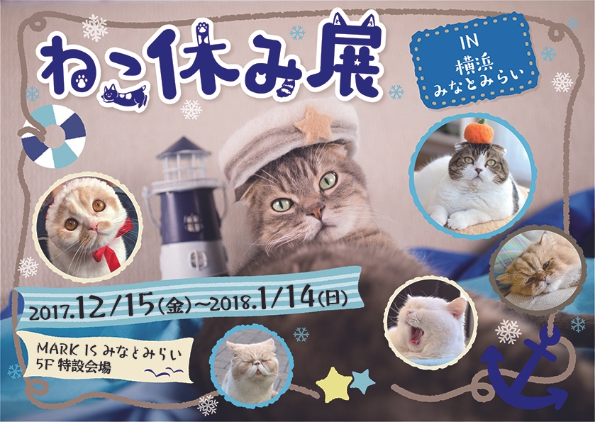 キービジュアル(横)