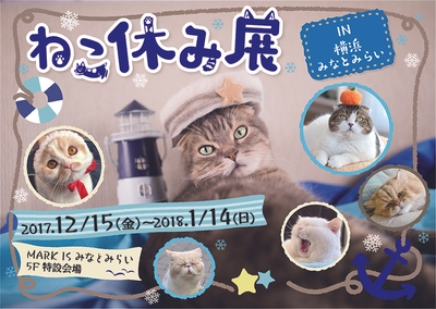 キービジュアル(横)