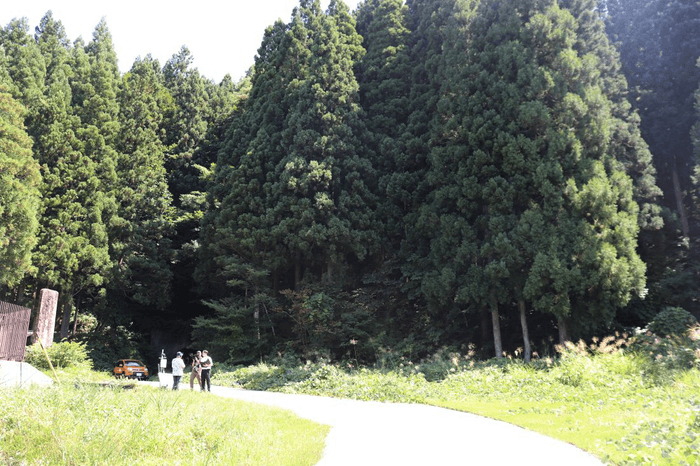 設置場所の周囲にはうっそうとした森が広がります