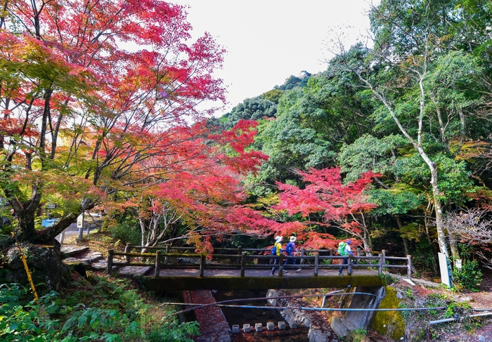 優秀賞「秋の登山道」