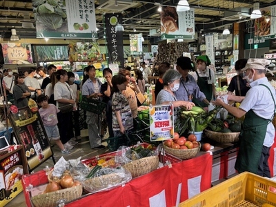嬬恋キャベツと秋野菜のバケツに積み放題