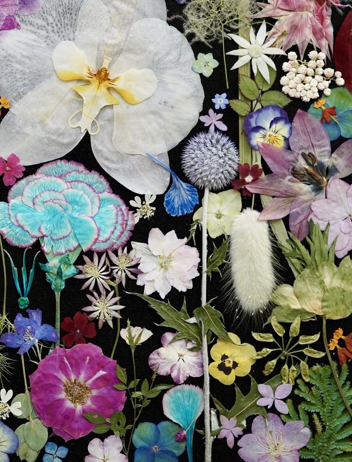 展示 押し花アート「オールジャンル」ジャンルレスなチームを表現