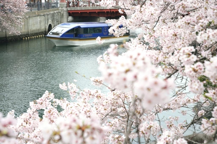 「ル・グラン・ブルー」大岡川桜クルーズ イメージ(2)