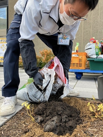 完成したコーヒーかす堆肥を木々の根元に