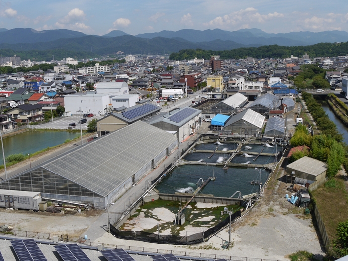 「あゆの店きむら」全景