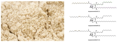 米糠の副産物から3種の新規化合物を発見し、その化学構造を解明　このうち1種が皮膚のバリア機能を高めることを明らかに