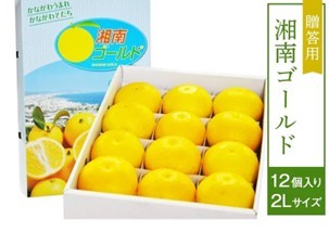 希少な“幻のオレンジ”を、産地から全国へお届け
産地直送通販サイト「ＪＡタウン」で「湘南ゴールド」を販売開始