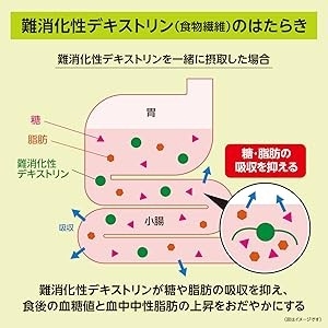 難消化性デキストリンのはたらき