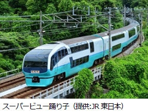 スーパービュー踊り子(提供:JR東日本)