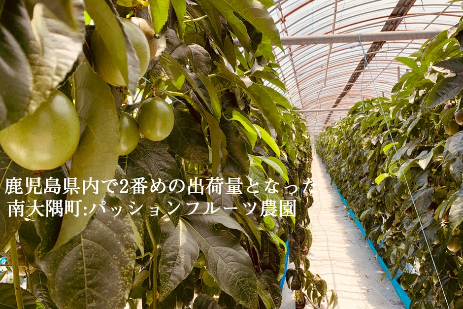 パッションフルーツ農園
