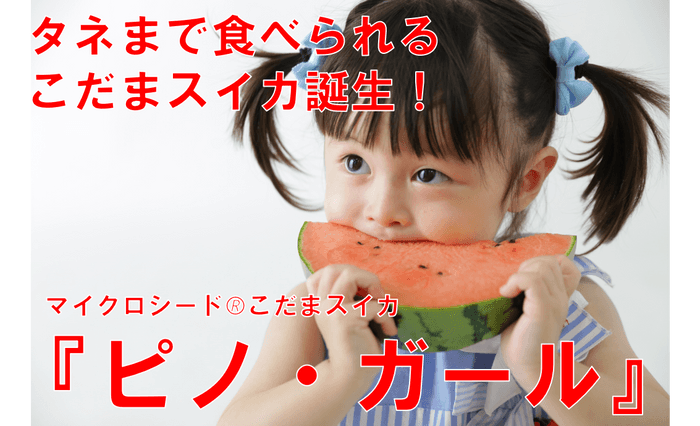 Makuakeプロジェクト