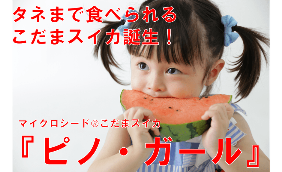 Makuakeプロジェクト
