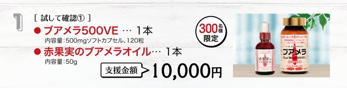 リターン1