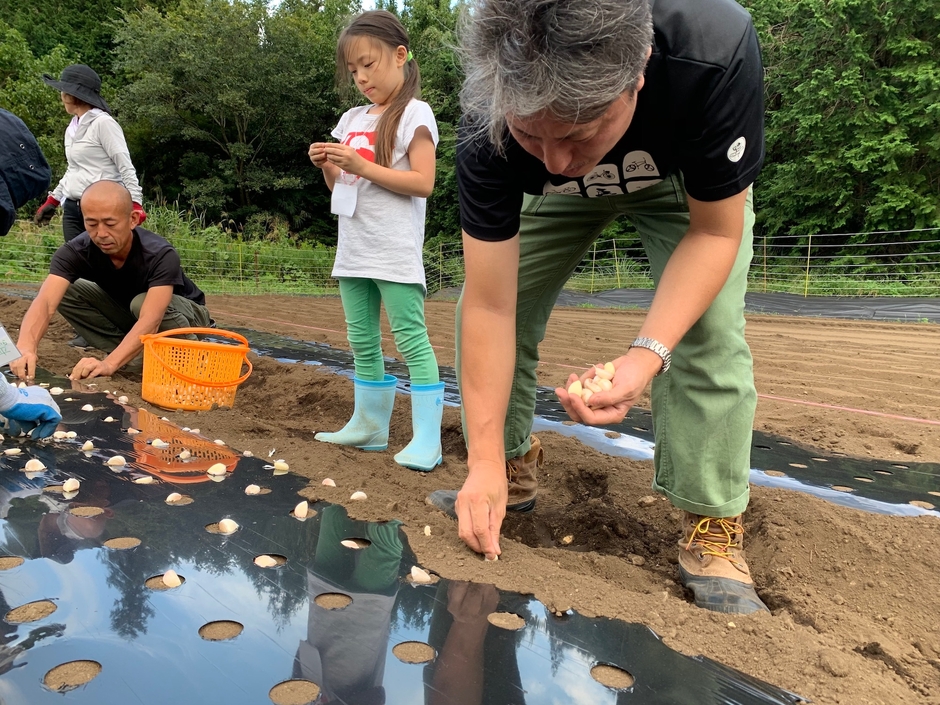 にんにくの種植え体験(6)