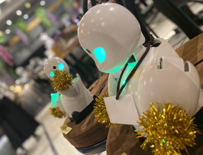 競技種目 OriHimeとは