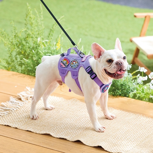 キロナイナーオリジナルワッペン