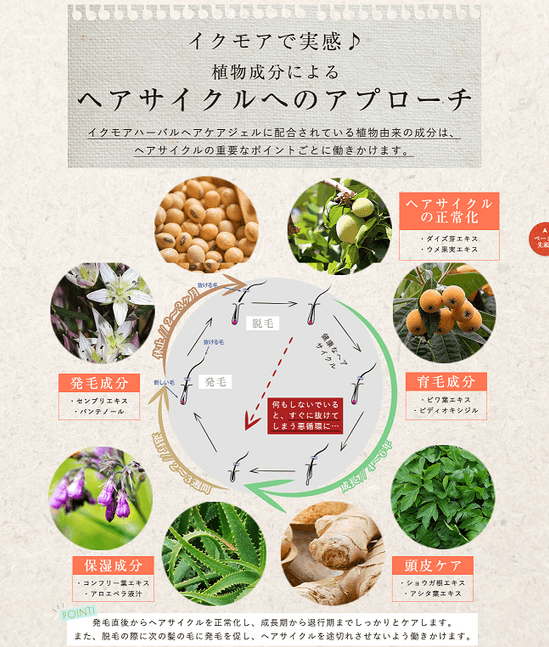 ヘアサイクルに合わせた成分