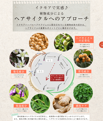 ヘアサイクルに合わせた成分