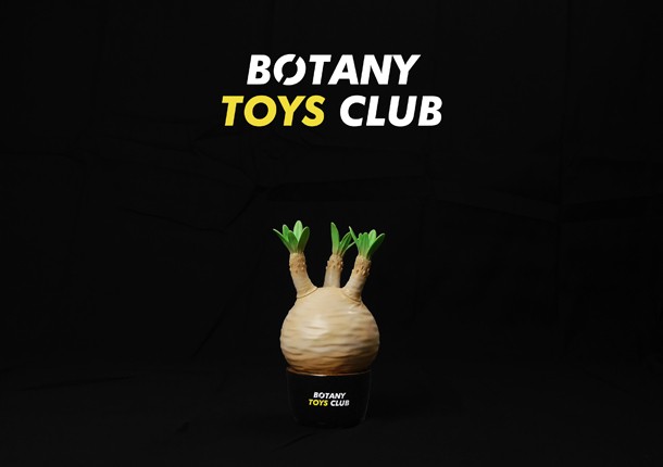Pachypodium Gracilius - BASICver -