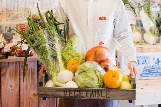 旬のお野菜
