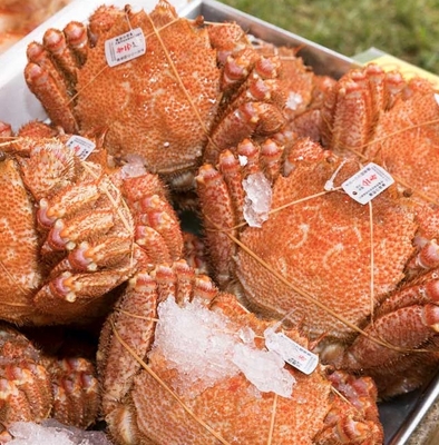 枝幸産毛がに
