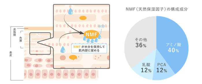 NMFについて