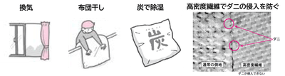 正しいダニ対策