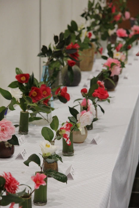 つばき展(過去の様子)