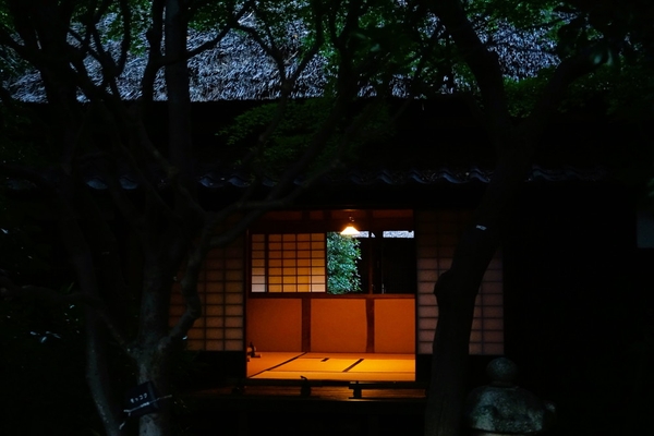 中高生部門 銀賞