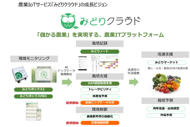 セラク、農業IoTサービス「みどりクラウド」で ビッグデータ／AIによる農業データ分析サービスを開始