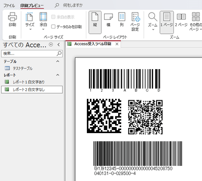 Access 印刷プレビュー