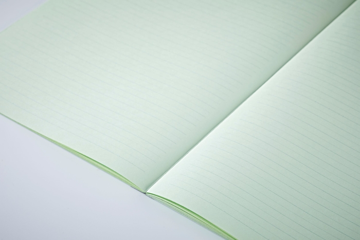 ペイフォワード まほら ミント 太・細交互横罫