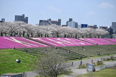 芝桜が華やかに北の玄関口を彩る