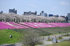 芝桜が華やかに北の玄関口を彩る